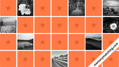 Black and White Memory Game - match the cards
