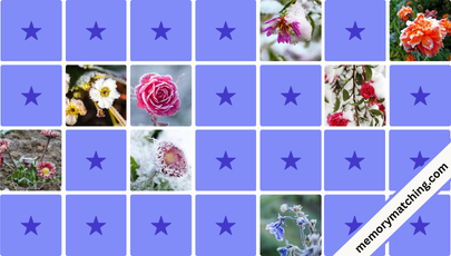 Frozen Flowers Memory Game - match the cards