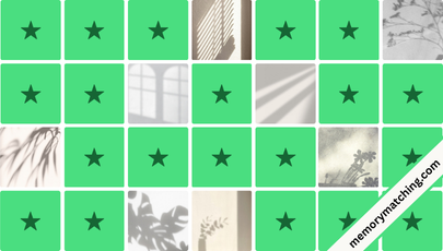 Shadow Memory Game - match the cards