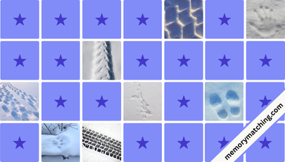 Snow Tracks Memory Game - match the cards