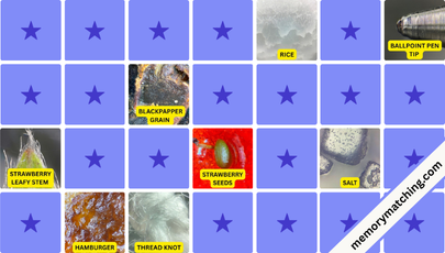 Under Microscope Memory Game - match the cards