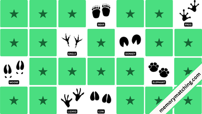 Animal Footprints Memory Game - match the cards