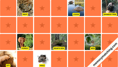 Animal Habitats Memory Game - match the cards