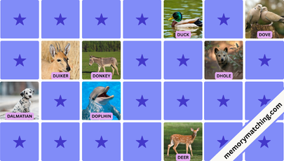 Animals Starting With D Memory Game - match the cards