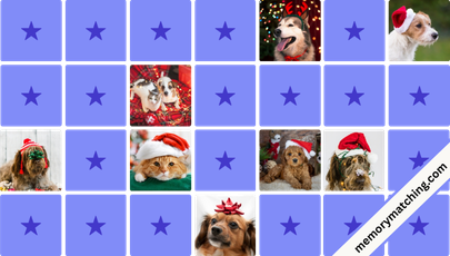 Christmas Pets Memory Game - match the cards
