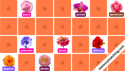 Flowers in Alphabetical Order Memory Game - match the cards