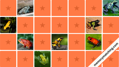 Frogs Memory Game - match the cards