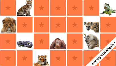 Jungle Animals Memory Game - match the cards