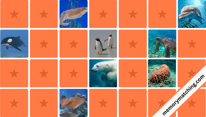 Ocean Animals Memory Game - match the cards