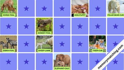 Animals and Their Babies Memory Game - match the cards