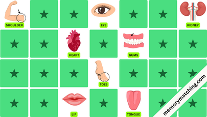 Body Parts Vocabulary Memory Game - match the cards