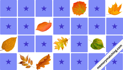 Autumn Leaves Memory Game - match the cards