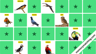 Birds Memory Game - match the cards