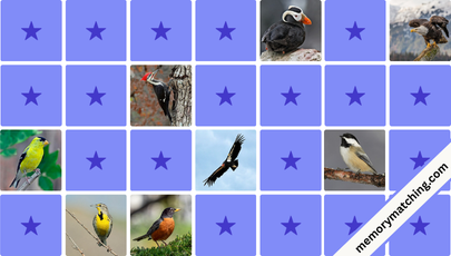 Birds of North America Memory Game - match the cards