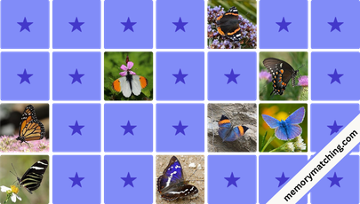 Butterflies Memory Game - match the cards