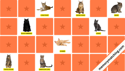 Cats Memory Game - match the cards
