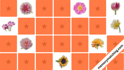 Cut-Out Flowers Memory Game - match the cards