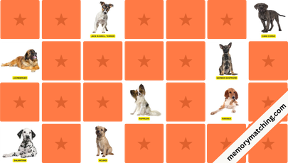 Dogs Memory Game - match the cards