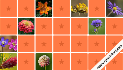 Flowers Memory Game - match the cards