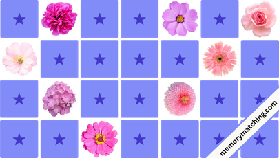Pink Blossom Memory Game - match the cards