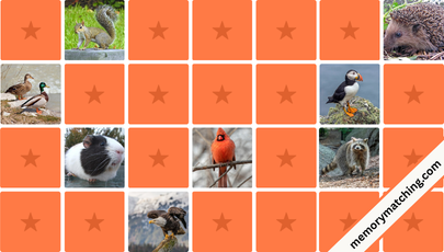 Senior-Friendly Animals Memory Game - match the cards