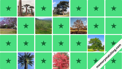 Trees Memory Game - match the cards