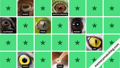 Guess the Eyes Memory Game - match the cards