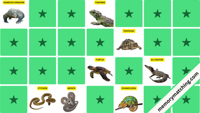 Reptiles Memory Game - match the cards