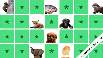 Baby Animals Memory Game - match the cards