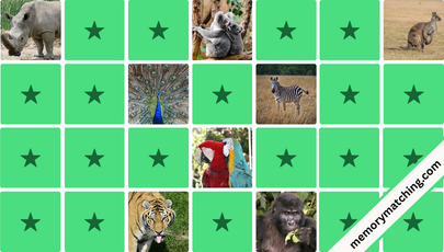 Zoo Animals Memory Game - match the cards