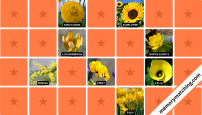 Yellow Flowers Memory Game - match the cards