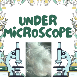 Under Microscope Memory Game