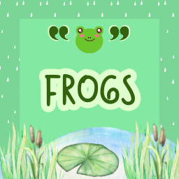 Frogs Memory Game