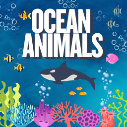 Ocean Animals