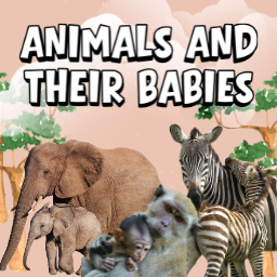 Animals and Their Babies Memory Game