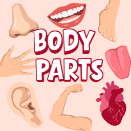 Body Parts Vocabulary Memory Game