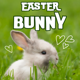 Easter Bunny Memory Game for Preschoolers