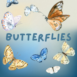 Butterflies