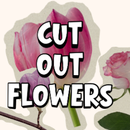 Cut-Out Flowers Memory Game