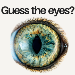 Guess the Eyes Memory Game