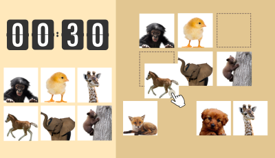 Baby Animals grid memory game - memorize cute baby animal positions on the grid