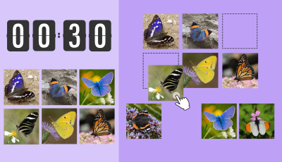 Butterflies picture matching game - drag and match butterfly images to their correct spots