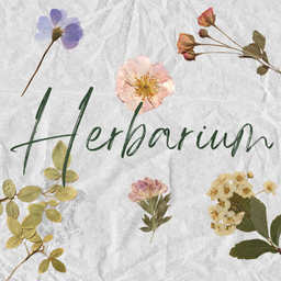 Herbarium Memory Game