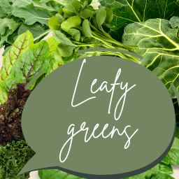 Leafy Greens Memory Game